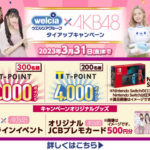 【朗報】ウエルシアグループ✕AKB48タイアップキャンペーン！！！！！