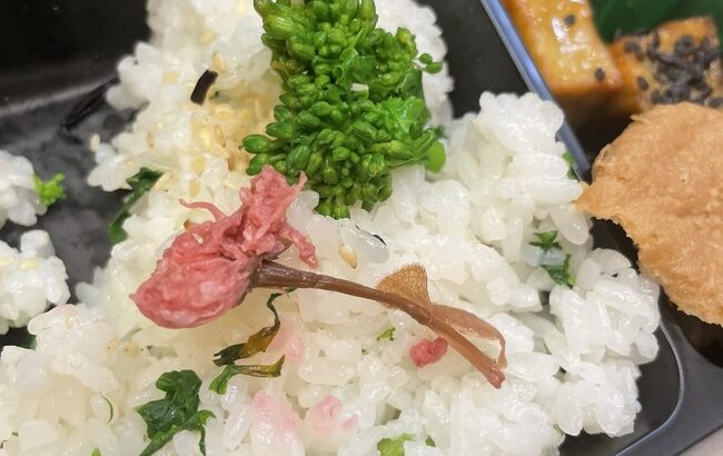 【画像定期スレ】本日AKB48メンバーに支給されたお弁当がコチラ…【柏木由紀・ゆきりん】