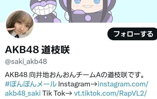 【悲報】AKB48道枝咲さんのツイッターフォロワー数が…【さきぽん】