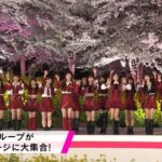 『AKB48・SKE48・NMB48・HKT48』が集結！CDTV30周年4時間半sp 歌うぞ！1位の曲だけフェス！キャプチャまとめ！