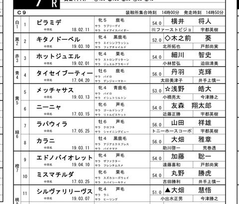 【SKE48】福士奈央「なんと今日名古屋競馬 7Rで【福士奈央生誕記念】レースを開催していただきます🐎 やったーーー！！！」