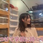【櫻坂46】増本綺良のロケ企画、大好評