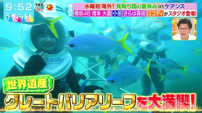 【櫻坂46】大園玲×増本綺良、オーストラリアロケの模様が豪華すぎる【ラヴィット】