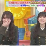 【櫻坂46】りかたん、川島さんに詰められるもギリギリセーフwww【ラヴィット】