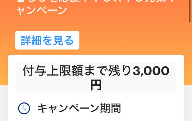 【朗報】3月末までAKB48劇場がpaypayで10%還元！！