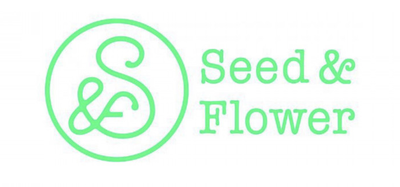 【櫻坂46】Seed&Flowerの実績、凄い…