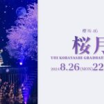 櫻坂46『桜月 -YUI KOBAYASHI GRADUATION CONCERT-』