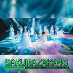 【速報】豪華出演者！櫻坂46、韓国で開催のフェスに出演決定【WONDERLIVET 2024】