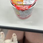 【SKE48】佐藤佳穂の巧妙な写真の取り方…