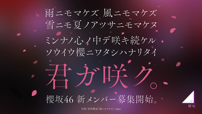 【緊急対応】アクセス集中！櫻坂46運営、四期生オーディションについてお知らせ