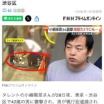 【画像】小嶋陽菜ストーカーで逮捕された中国人留学生42歳男の顔公開！！【ジャオ・レイ容疑者(42才)　元AKB48こじはる】