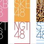 48グループ　平均在籍年数がヤバすぎる・・・【AKB48/SKE48/NMB48/HKT48/NGT48/STU48】