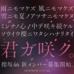 【櫻坂46】中学生の加入くるか！？ 四期生オーディション最終審査が終わったけど…