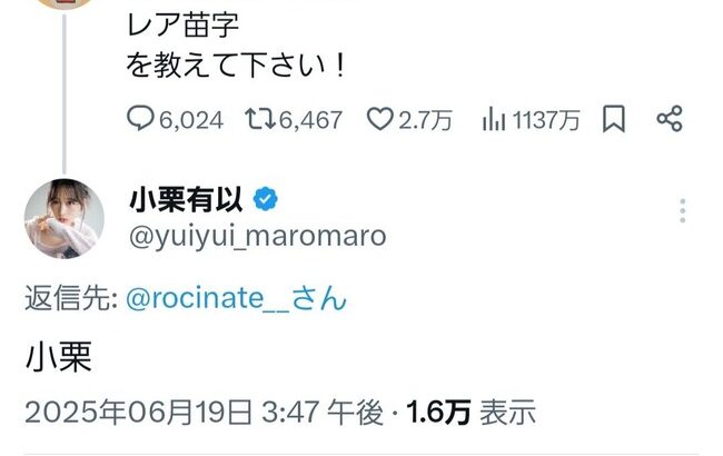 【討論】「小栗」はレア名字なのか？【AKB48小栗有以ゆいゆい】