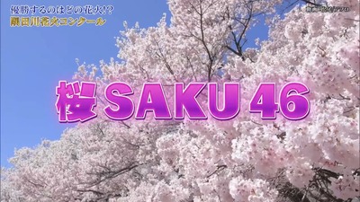 【櫻坂46】Buddies花火師の作品『桜 SAKU 46』打ち上げの様子がこちら！【隅田川花火大会】