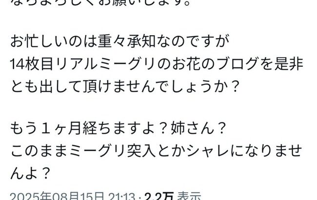 坂道ヲタさん、メンバーへの祝花をブログに載せなかったことでブチギレ？【乃木坂46/櫻坂46/日向坂46】