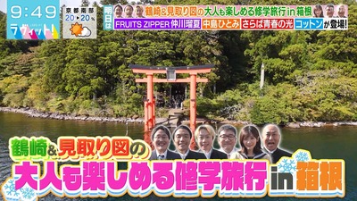 【櫻坂46】こんなぎ・・・だよな？ Buddies、ラヴィットの予告映像に混乱。。。