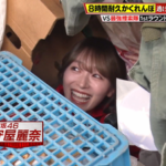 【櫻坂46】守屋麗奈、まさかの事態にw 向井純葉は謎の場所に隠れる！【炎のチャレンジャー 8時間耐久かくれんぼ】