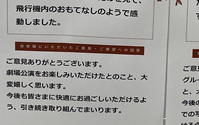 【朗報】AKB女ヲタさん「AKB48劇場は飛行機内のおもてなしのようで感動した！」