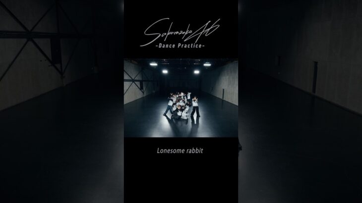 櫻坂46 ショートクリップ #7 “Lonesome rabbit Dance Practice” #櫻坂46_Lonesomerabbit