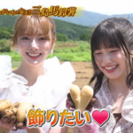 【櫻坂46】これはびっくり… まさかの事実が発覚した『青空レストラン』
