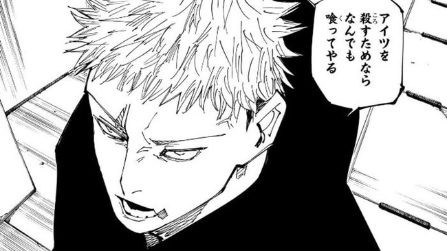 虎杖悠仁・カカロット「わけぇもんに後を託してぇんだ」←こいつら