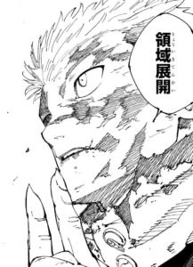 【呪術廻戦】虎杖の領域はどういう効果だったんだ