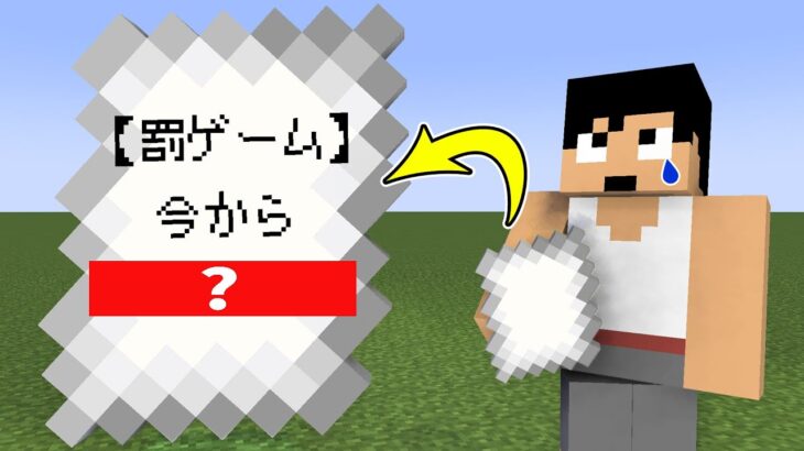 エンドラRTA対決の罰ゲームが地獄すぎました…【マイクラ】