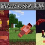 移動が大変！地面が危険過ぎる世界でエンドラ討伐【マイクラ】