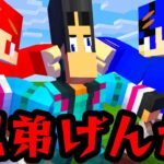 危険な兄弟ゲンカを止めようとしたすまない先生【マイクラ・マインクラフト】