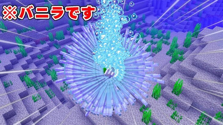 【Modなし】なんじゃこれ！バグったモブが出現しました！？PART222【マイクラ】