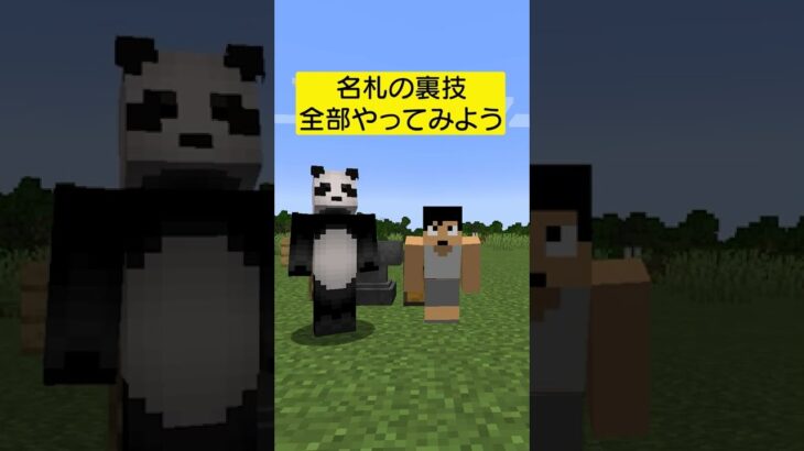 名札の裏技全部試してみた結果…【マイクラ】#shorts