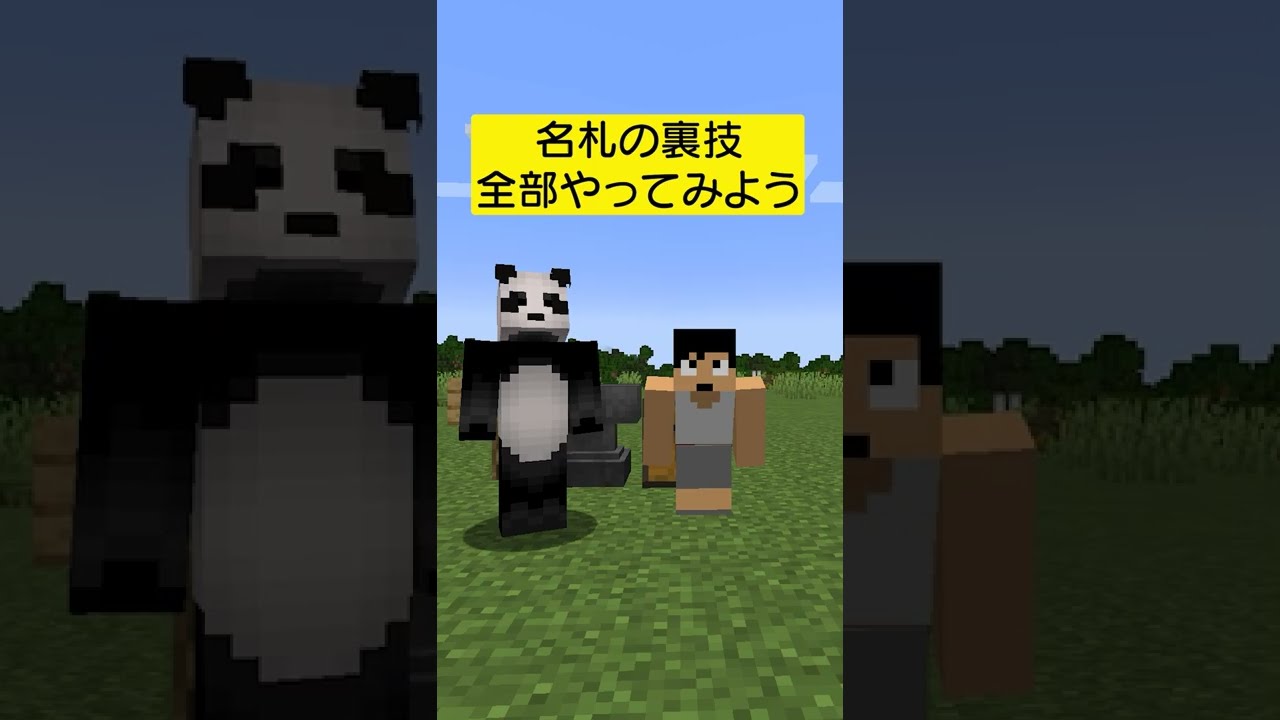 名札の裏技全部試してみた結果 マイクラ Shorts 気ままに マイクラ まとめ速報