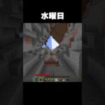 裏技で村人を助けた結果www【マイクラ・マインクラフト】