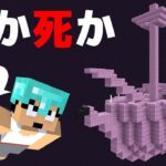 命懸けでエリトラを取りに行ってみた結果。。PART71【マイクラ.アツクラ】