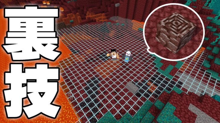 禁断ネザーのマグマの中にある残骸を透視する方法 PART186マイクラ.アツクラ