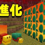 ネザーでスニッファー孵化させるとどうなるの？？PART195【マイクラ.アツクラ】