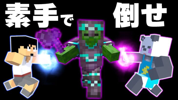 【成仏覚悟】素手で最強ゾンビ倒します！！PART283【マイクラ.アツクラ】