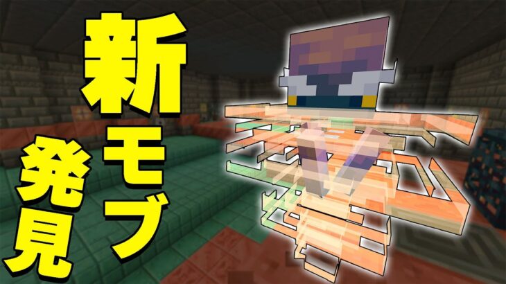 【アプデ1.21】新Mob登場！？ブリーズきたぁぁぁ！！！【マイクラ】