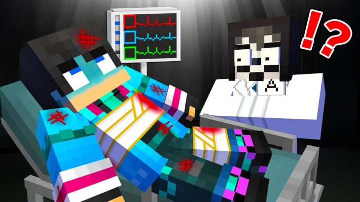 すまない先生が緊急入院した【 マイクラ / マインクラフト 】