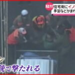 【騒然】公園にイノシシ２匹出現…６人けが 広島