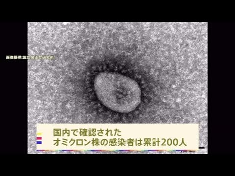 国内で「オミクロン株」４０人確認 京都で初の市中感染も
