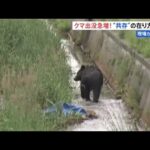 北海道の“クマ被害”過去最多に【現場から、２０２１】