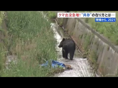 北海道の“クマ被害”過去最多に【現場から、２０２１】