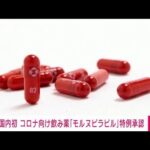 国内初となる新型コロナ向け飲み薬「モルヌピラビル」を特例承認　厚労省(2021年12月24日)