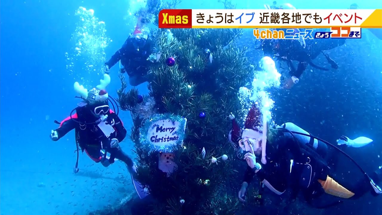 白浜沖の水深１８ｍ海底に『高さ３ｍのツリー』ダイバーらがクリスマスムードを味わう（2021年12月24日）