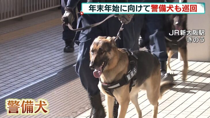 「警備犬」がＪＲ新大阪駅を巡回　利用者が増える年末年始にかけて警戒を強化（2021年12月25日）