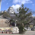 姫路城で高さ５ｍの「ジャンボ門松」設置　新年を迎える準備が整う　兵庫・姫路市（2021年12月26日）