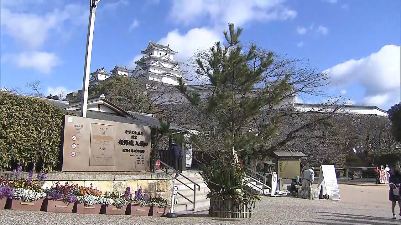 姫路城で高さ５ｍの「ジャンボ門松」設置　新年を迎える準備が整う　兵庫・姫路市（2021年12月26日）
