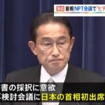 【独自】岸田首相 ＮＰＴ再検討会議現地入り見送り ビデオ演説で調整